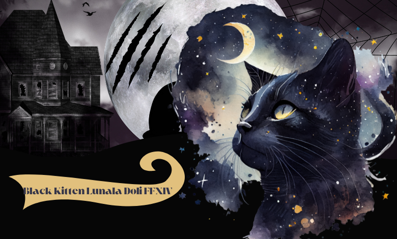 Black Kitten Lunala Doli FFXIV