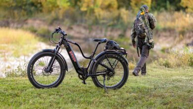 Long-range eBike with advanced smart lock technology.