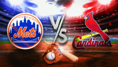 mets vs st. louis cardinals match player stats