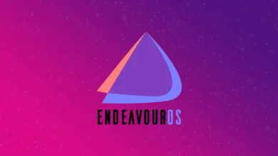 endeavouros some media apps work some don't​